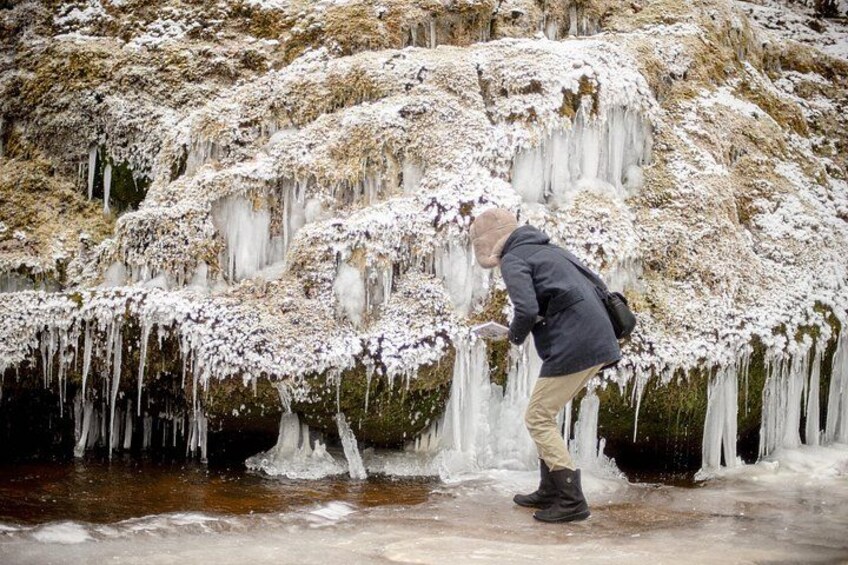 Refreshing Walk in Nature near Riga 2