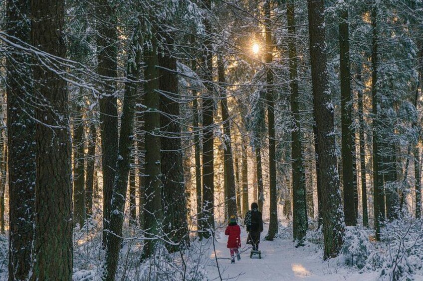 Refreshing Walk In Nature Near Riga 5