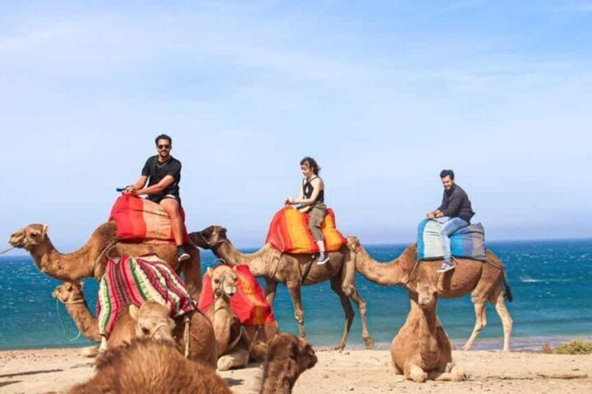 Discover Tangier & Cook With Local Moroccan Women 5