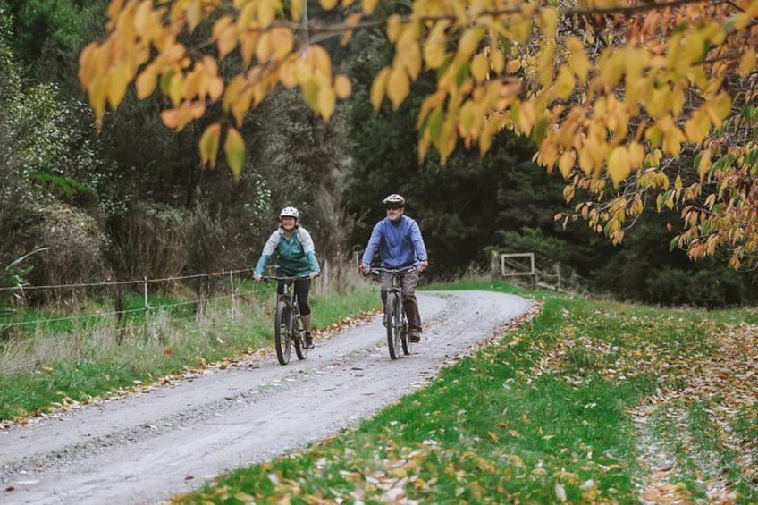 Två cyklister på en grusväg, omgivna av träd med höstlöv. 5