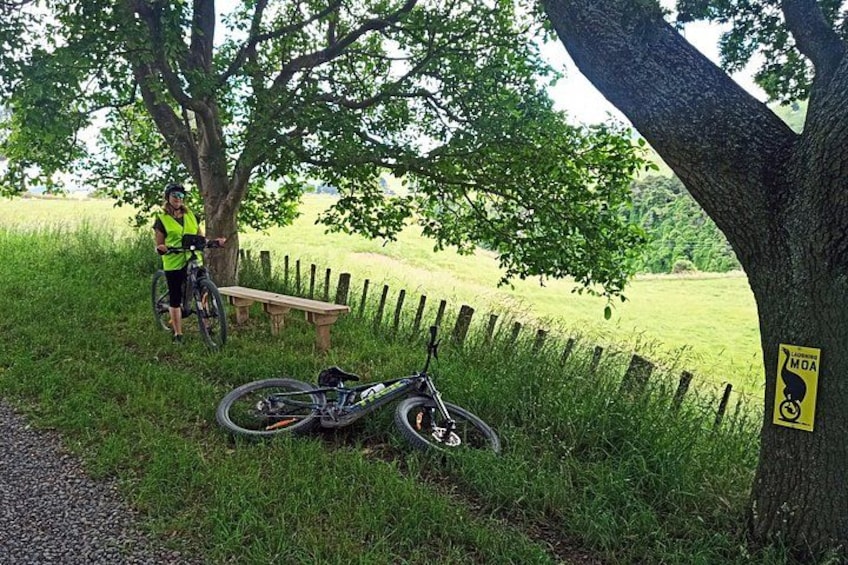 En person står bredvid en cykel som lutar mot ett träd, ett picknickbord och en gul skylt som sitter på ett träd. 4