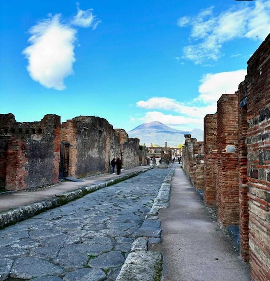 Picture 11 for Activity Sorrento: Pompeii Tour with guide, ticket & lunch included 5