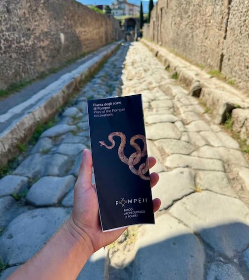 A hand holding a book titled 'Pianta degli scavi di Pompeii excavations' with a snake illustration, set against a cobblestone street. 5
