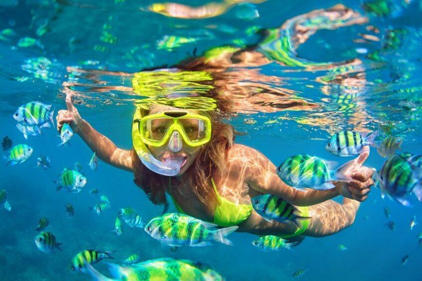 A person snorkeling underwater with tropical fish. 4
