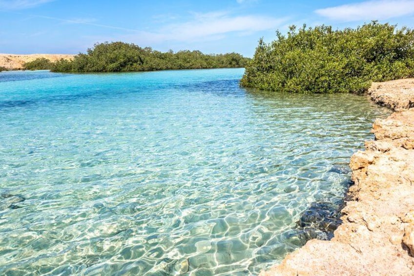 A clear turquoise sea, rocky shoreline, and dense green foliage. 2