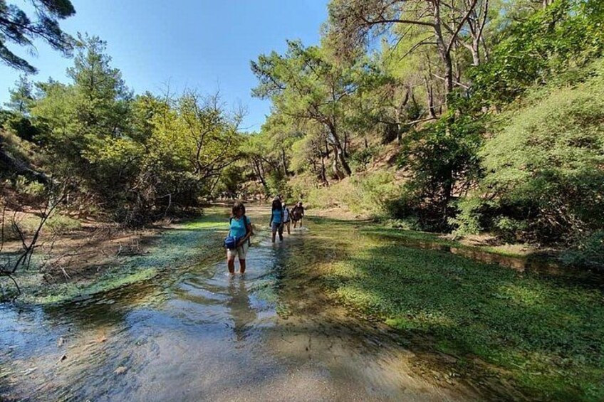 People walking through a shallow water body surrounded by trees. 1