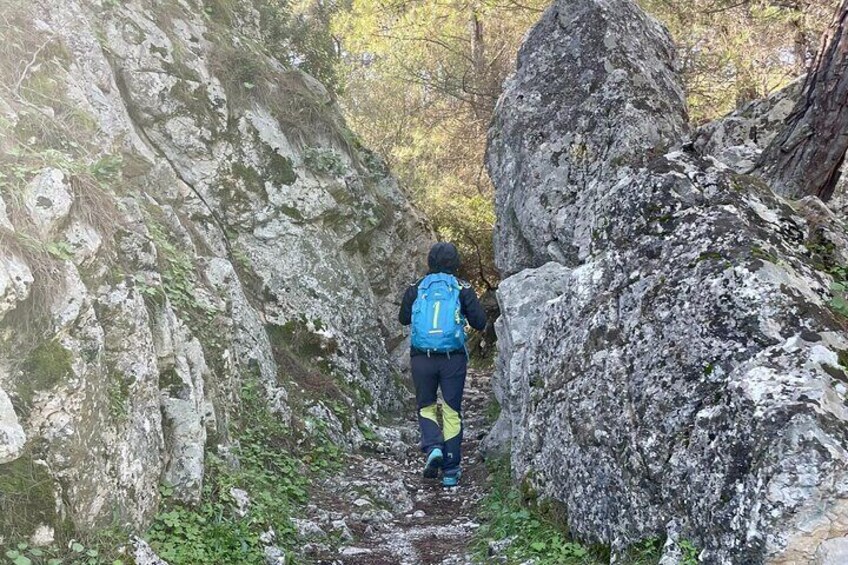 4-Hours of Activity on Foot between Olive Groves and Vegetation from Archangelos