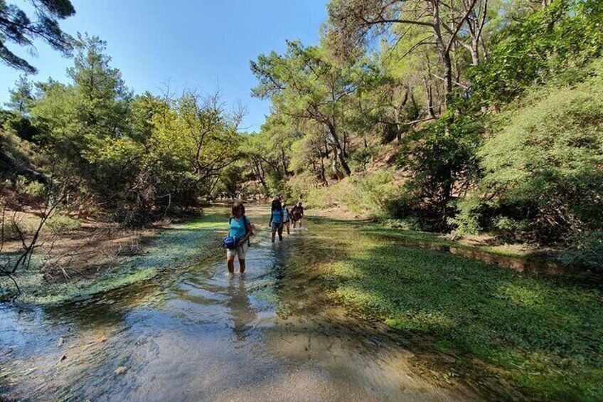 Hiking to the seven springs between olive groves and vegetation from Archangelos