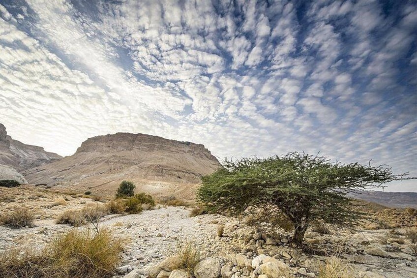 Masada and the Dead Sea Full Day Experience From Jerusalem 3