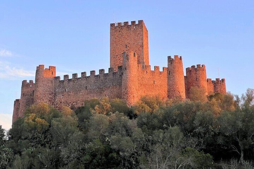 A large stone castle with multiple towers and a surrounding forest. 1