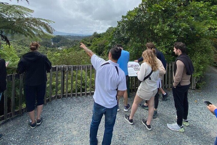 Waimangu 5