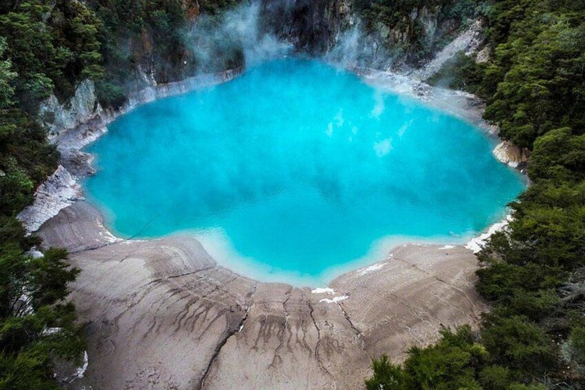 A turquoise hot spring surrounded by forest. 3