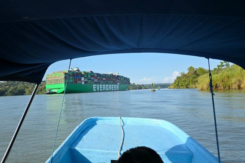 Un cargo vert, baptisé « Evergreen », navigue sur une rivière. 5