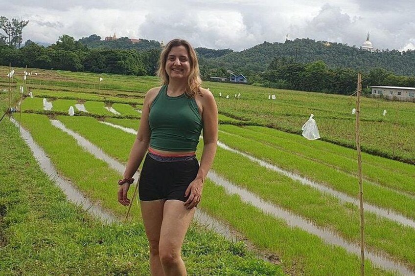 A person standing in a rice paddy field with a temple in the background. 3