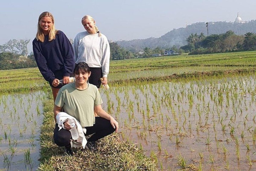 A group of people in a rice field with a temple in the background. 2
