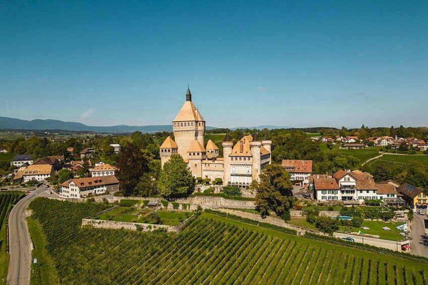 Private Swiss Riviera Tour: Montreux & Lausanne 4