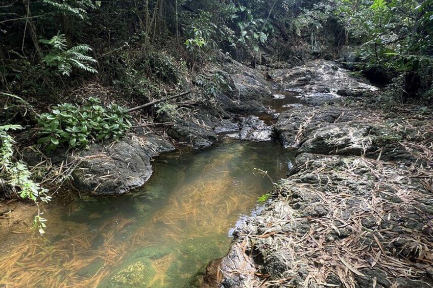 natural spring 1