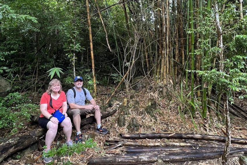 Mount Healthy National Park Private Hike Tour in Tortola 2