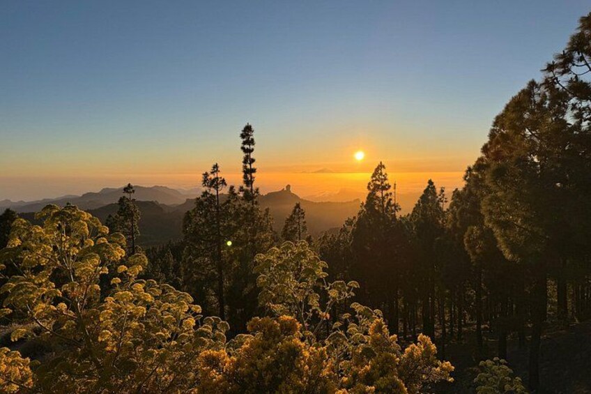Volcano Road Trip & Roque Nublo Hike – Self-Guided Driving Tour 3