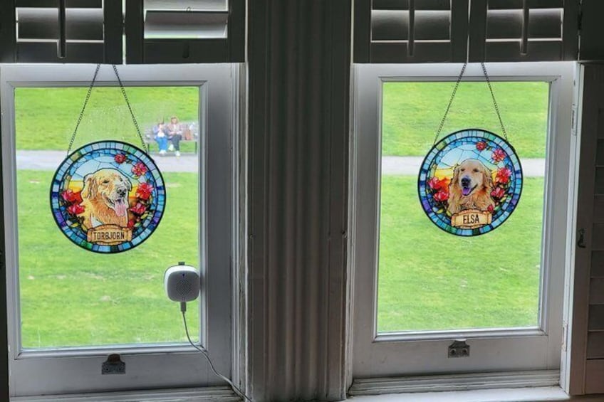 Dos ventanas con retratos de perros en vitral y el nombre 'ELSA'. 3