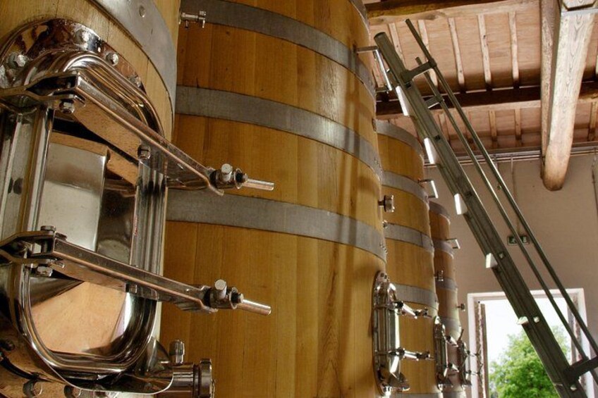 Tasting with Private Walk in a Cellar in Tuscany 1