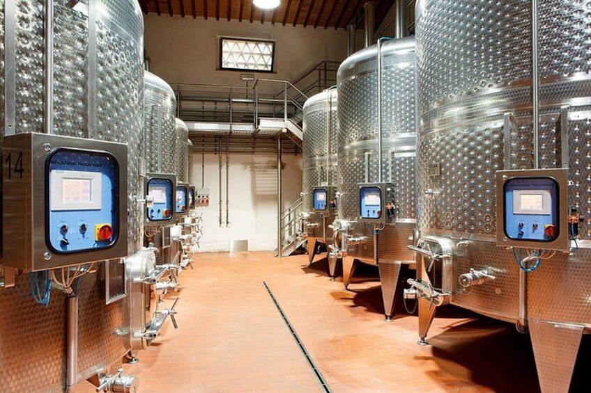 Tasting with Private Walk in a Cellar in Tuscany 5