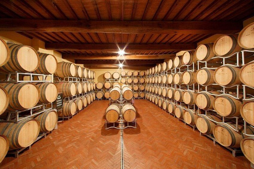 Tasting with Private Walk in a Cellar in Tuscany 3
