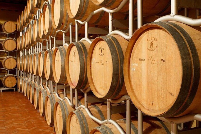 Tasting with Private Walk in a Cellar in Tuscany 4