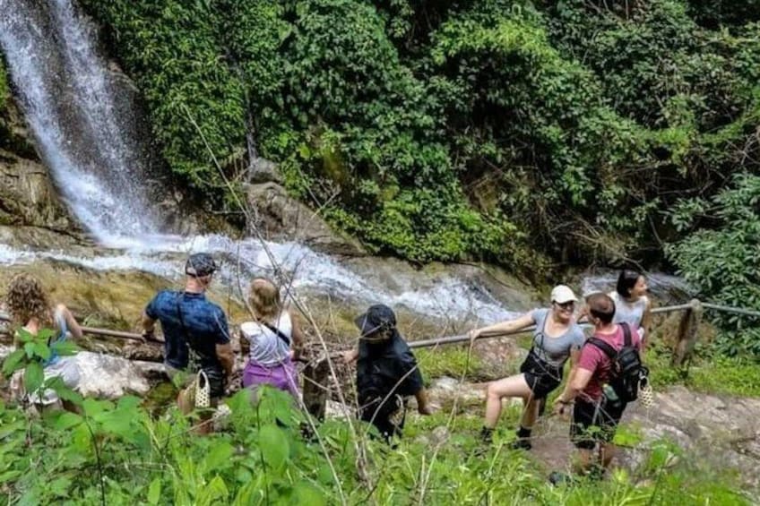 Chiang Mai Mae Kam Pong Wild Gibbon Jungle Trek with Transfer 1