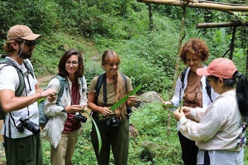 Chiang Mai Mae Kam Pong Wild Gibbon Jungle Trek with Transfer 4