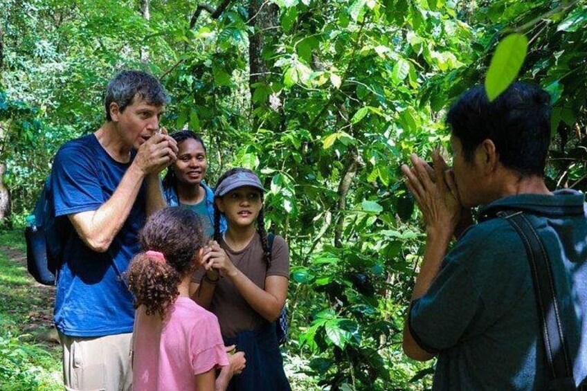 Chiang Mai Mae Kam Pong Wild Gibbon Jungle Trek with Transfer 5