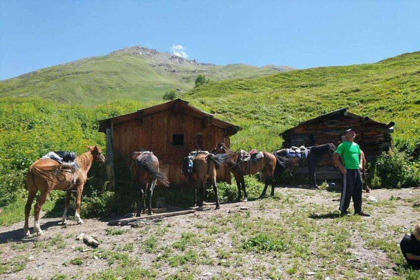 A man standing next to a wooden structure with horses in a mountainous area. 4