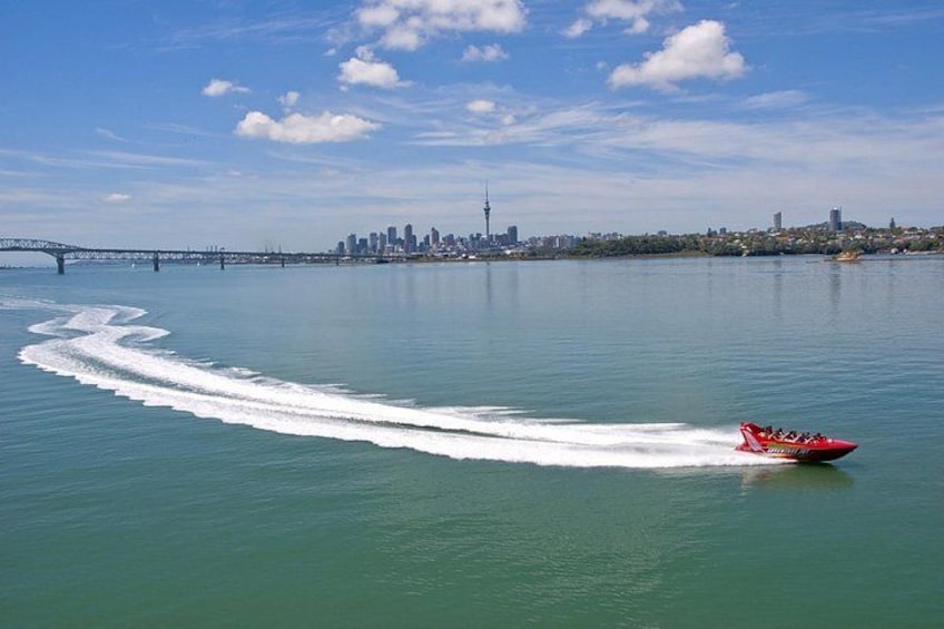Jetboat Adventure Auckland Harbour. 4