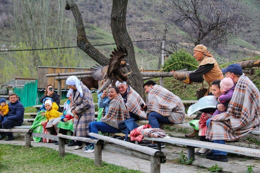 A group of people sitting on benches, watching an eagle in flight. 4