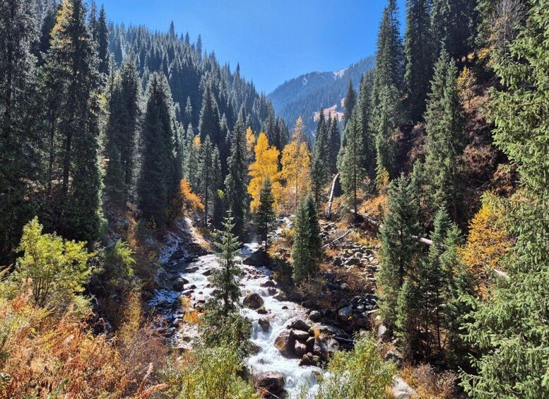 A river flowing through a forest with autumn-colored trees and a mountain in the background. 2
