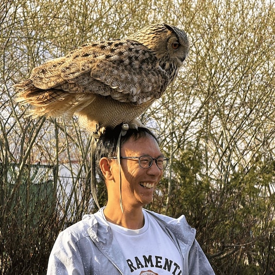 A person with a bird perched on their head. 5