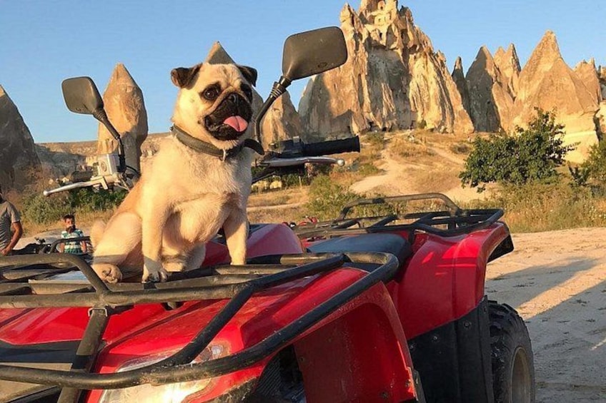 Ein rotes Geländefahrzeug mit einem Hund, der auf dem Sitz sitzt, umgeben von felsigem Gelände und blauem Himmel. 3