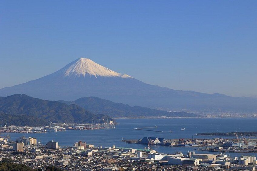 Shizuoka: Shimizu Port Food & Bar Hopping Tour 4