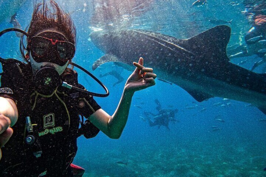 A diver pointing at a stingray underwater. 2