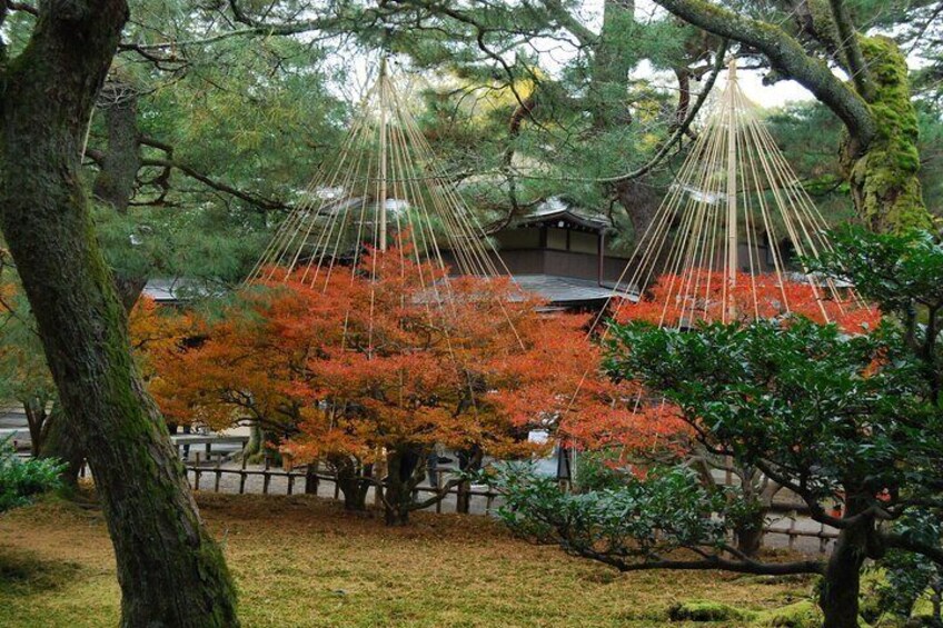 Un jardin japonais traditionnel avec un pont en bois, des feuilles d’automne rouges et un bâtiment en arrière-plan. 1