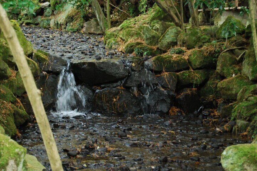 Une petite cascade dans une zone boisée, avec des rochers couverts de mousse et un ruisseau. 3