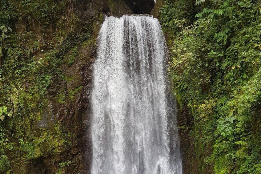A waterfall cascading down a rocky cliff surrounded by lush greenery. 1