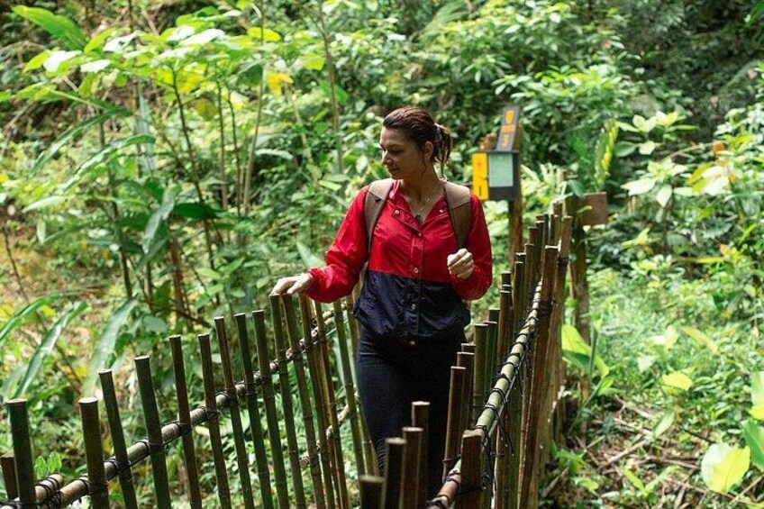 A person walking on a bamboo bridge in a forested area. 4