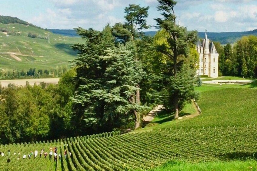 Champagne region 4