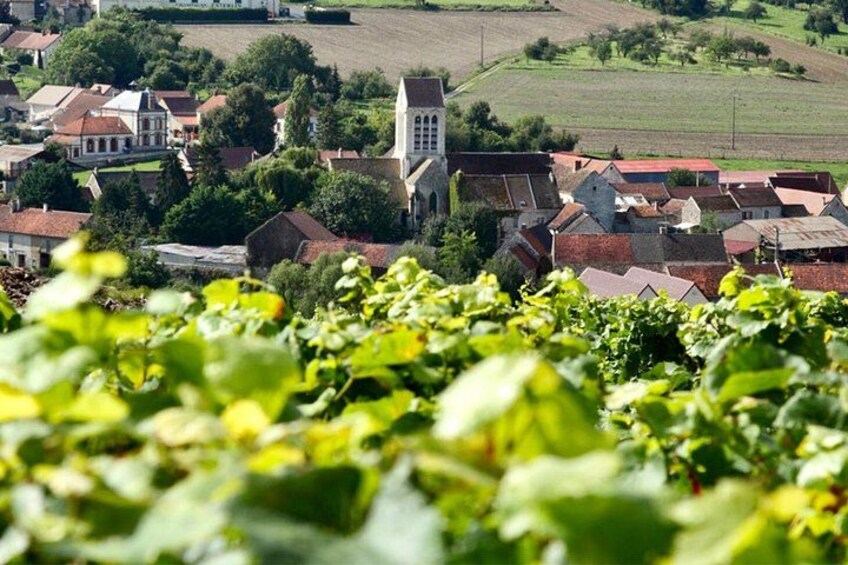 Champagne region 5
