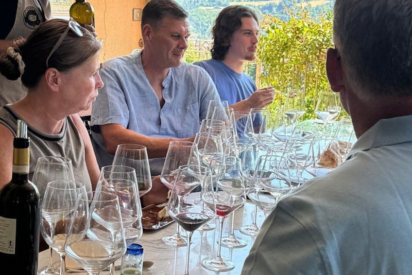 Wide area Piemonte Wine Tasting Experience at Private Villa 2
