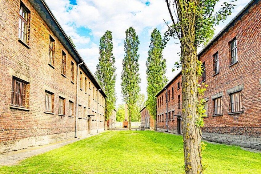 A courtyard with brick buildings, a grassy area, and tall trees. 5