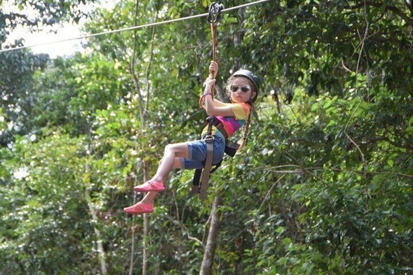 A person zip-lining through a forest. 4