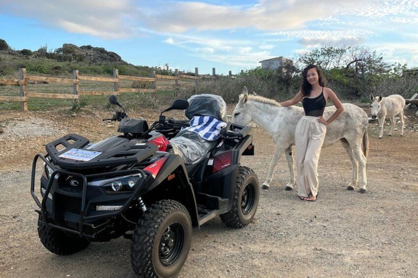Una persona in piedi accanto a un quad e due asini, in un ambiente rurale con terreno sterrato e recinzione in legno. 2