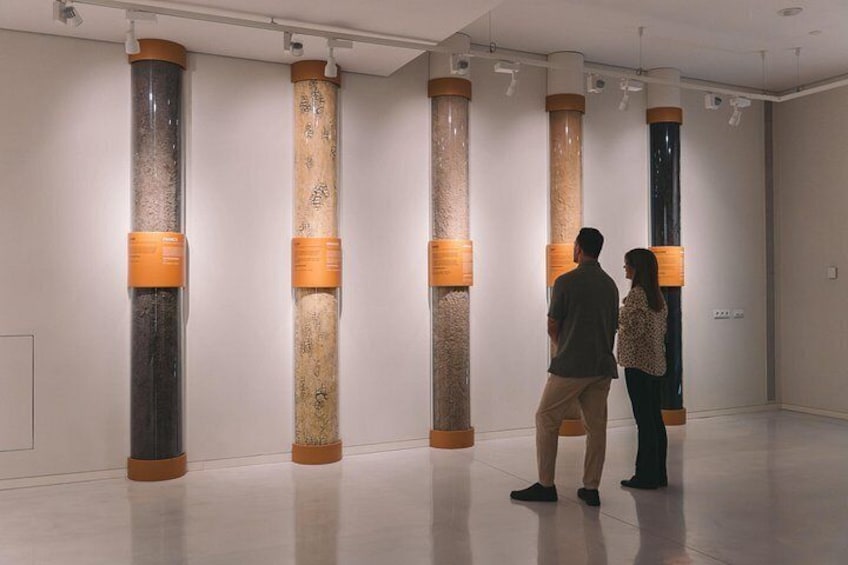 Porto: Port & Wine Experience Museum with 3 Wine Tastings 3